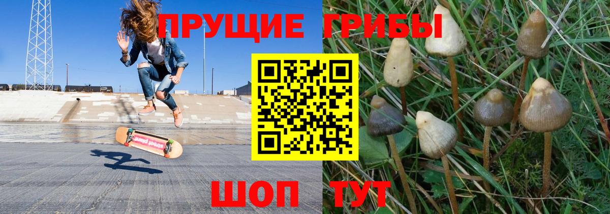Галлюциногенные грибы Psilocybine cubensis Сердобск