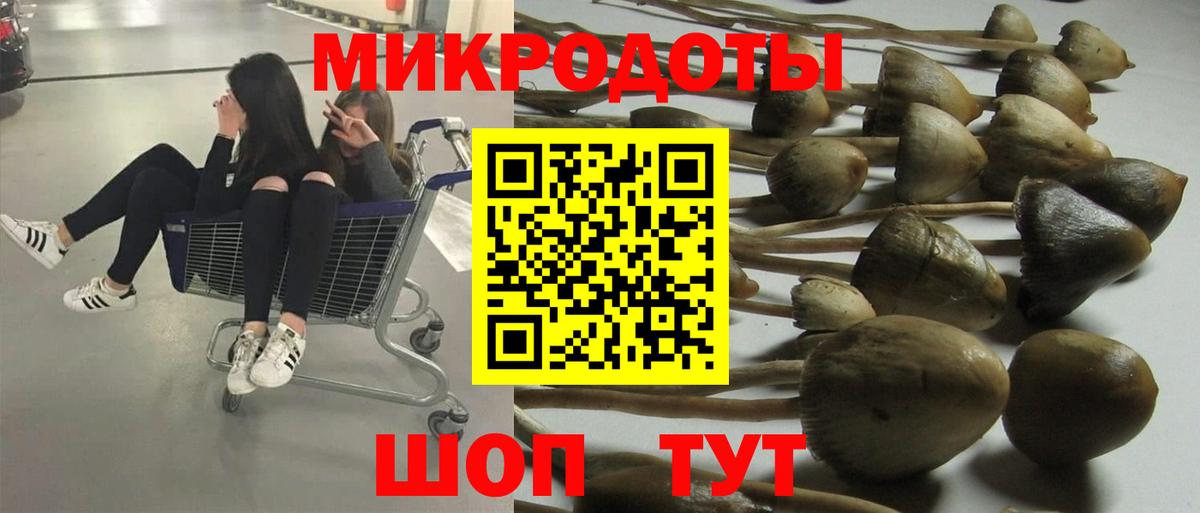 Псилоцибиновые грибы Magic Shrooms  Вход с VPN  Псилоцибиновые грибы Psilocybe  Сердобск 